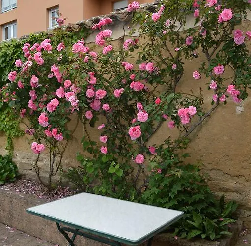 Côté Midi D'hôte Chaneins