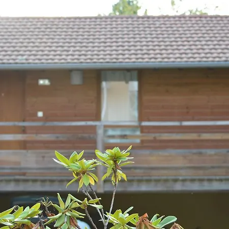Cote Midi D'hote Hotel 2*